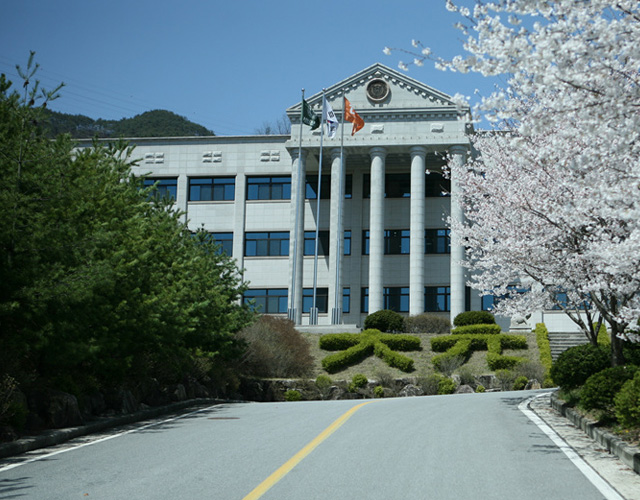 大元大学